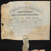 Cover image of Diploma