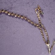 Cover image of Chain, Watch