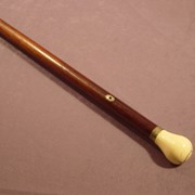 Cover image of Cane