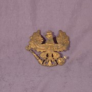 Cover image of Insignia