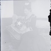 Cover image of Negative, Glass Plate