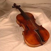Cover image of Violin